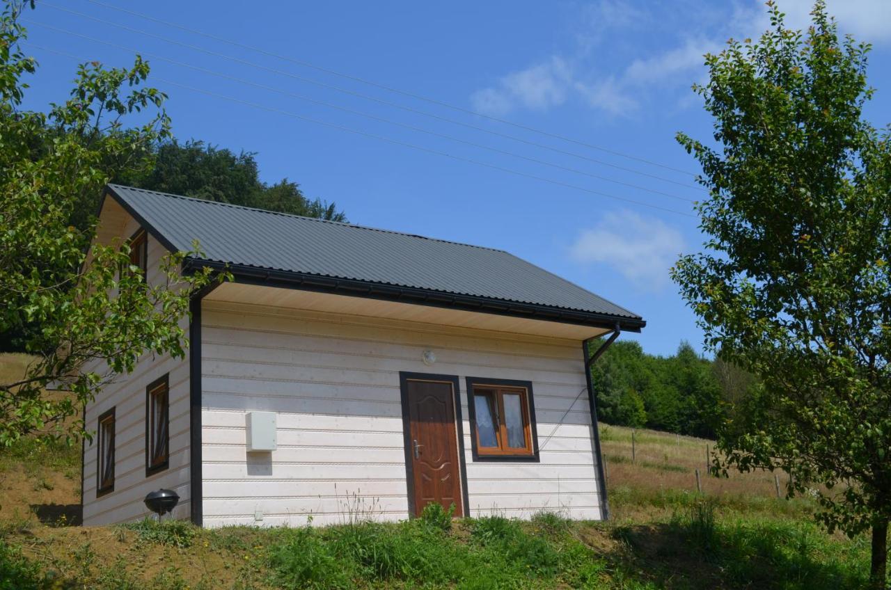 Domek Zacisze Gor Slonnych Tyrawa Woloska Extérieur photo