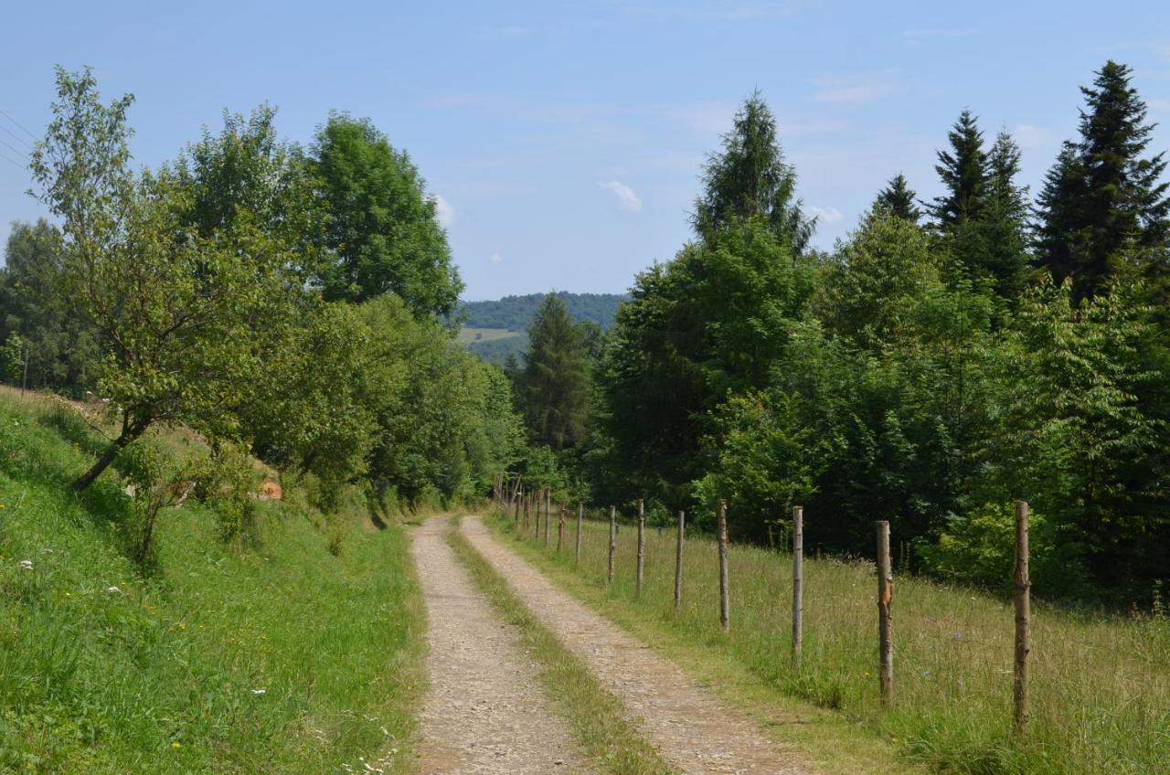 Domek Zacisze Gor Slonnych Tyrawa Woloska Extérieur photo